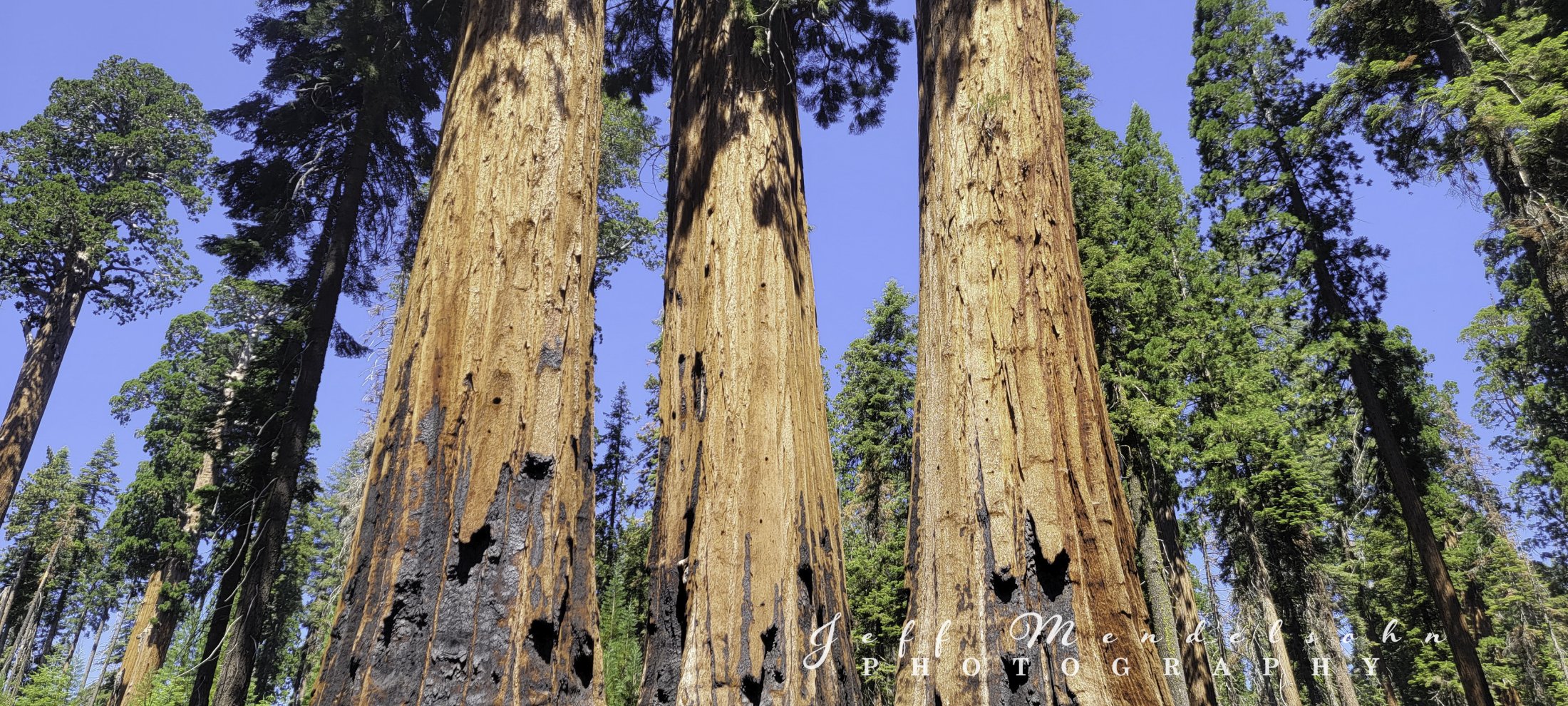 Sequoia National Park Day 1 Moro Rock