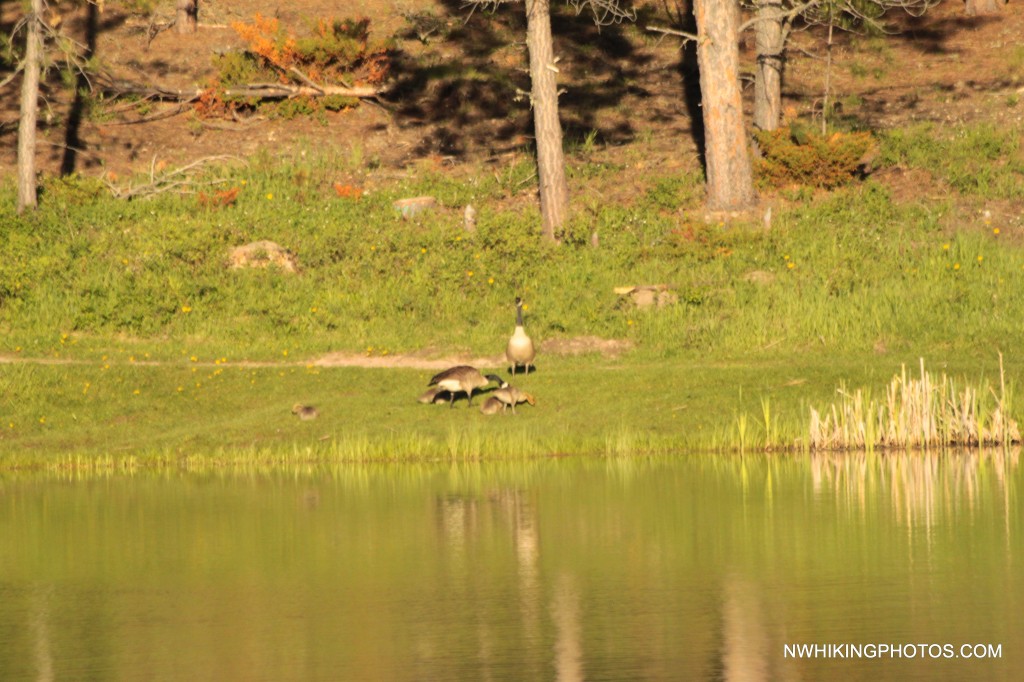 Roubaix Lake Black Hills Natl Forest/ Belle Fourche (Geo Center of the ...